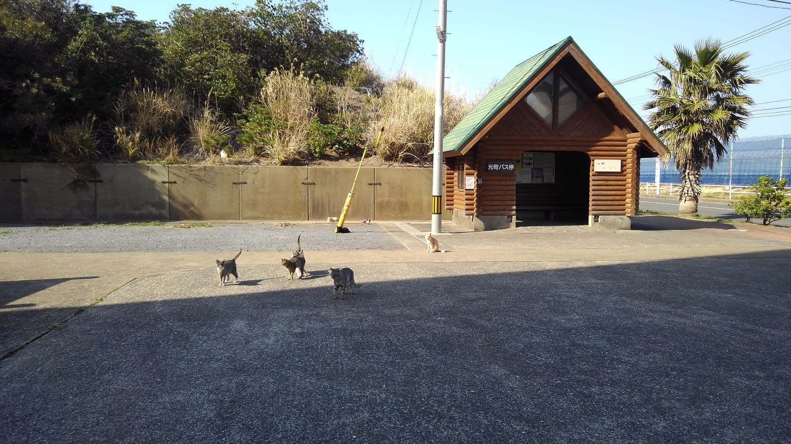 高島動物共存会